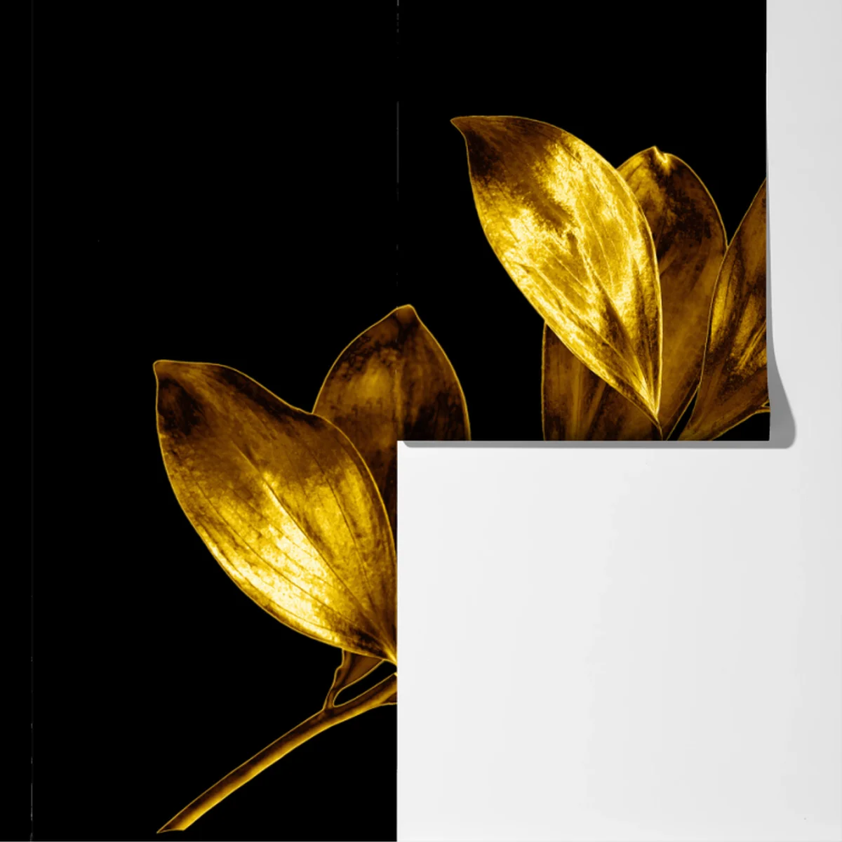 Fototapete goldener blattzweig auf schwarzem hintergrund Fototapete goldener blattzweig auf schwarzem hintergrund