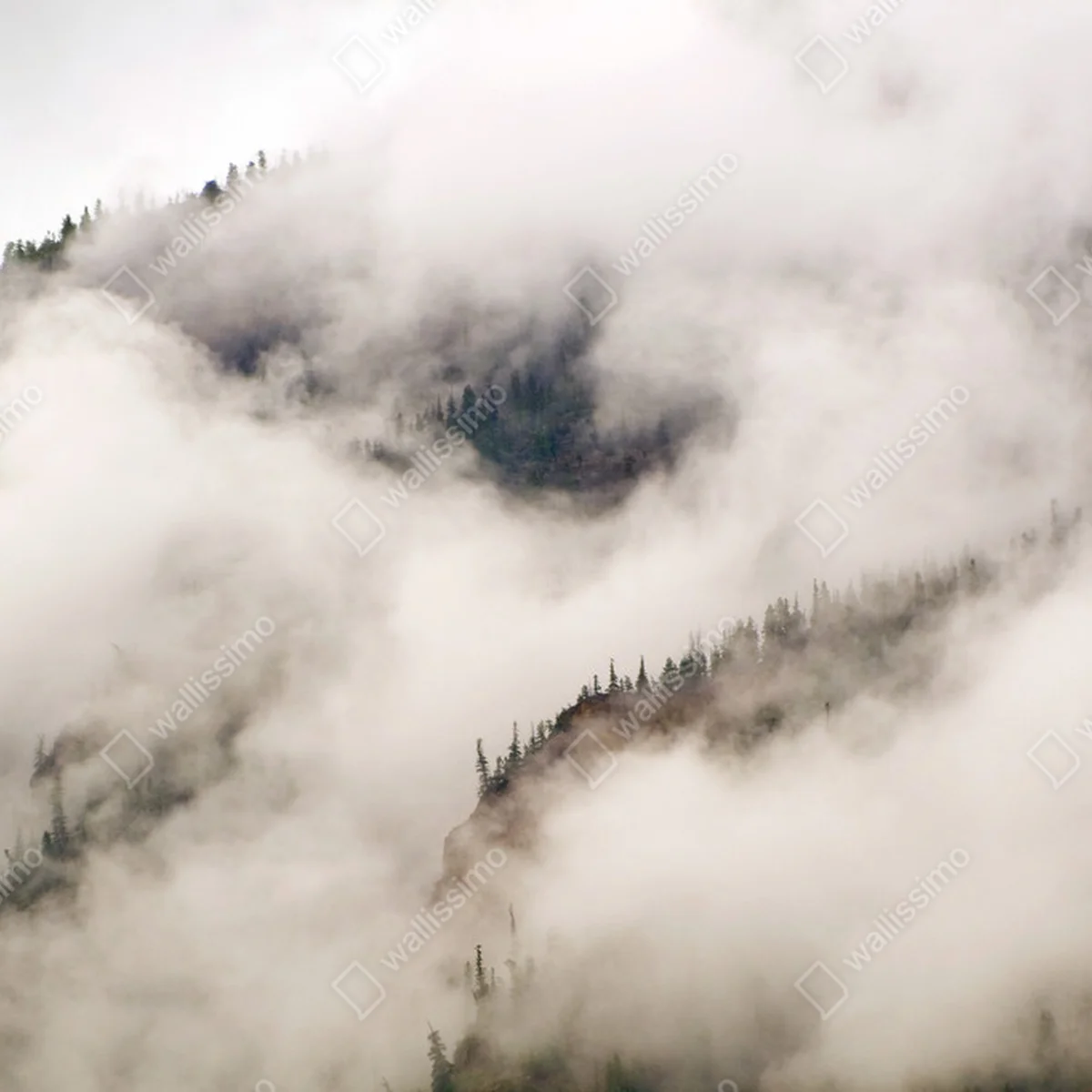 Poster schwere Wolken und Nebel • Poster bei Wallnifity® Poster schwere Wolken und Nebel • Poster bei Wallnifity®