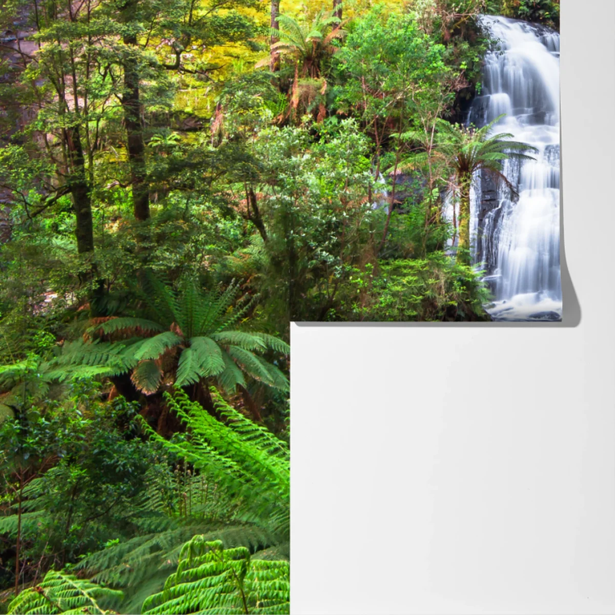 Fototapeta Triplet Falls wodospad w Great Otway National Park Fototapeta Triplet Falls wodospad w Great Otway National Park