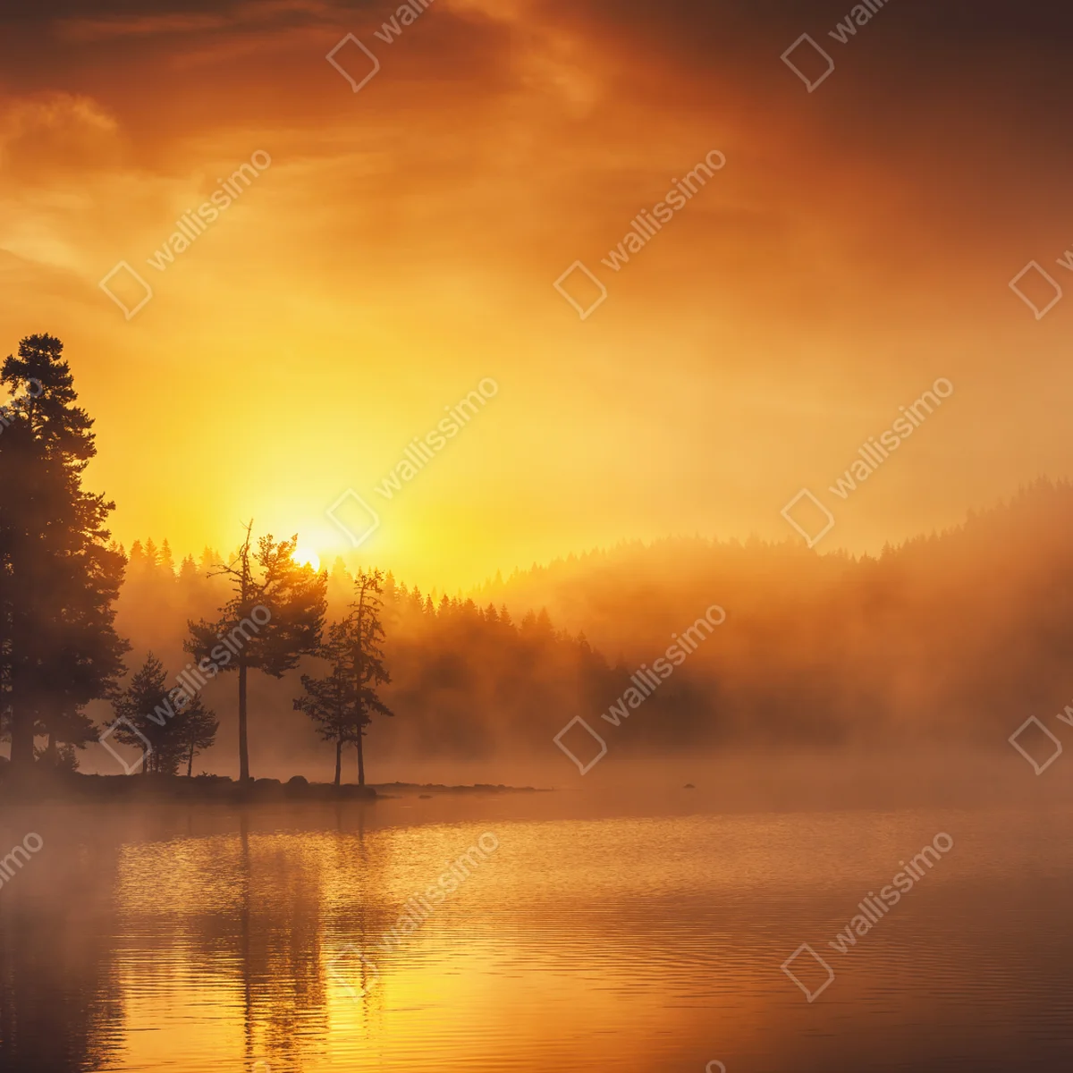 Leinwandbild goldener sonnenaufgang über dem nebligen see Leinwandbild goldener sonnenaufgang über dem nebligen see
