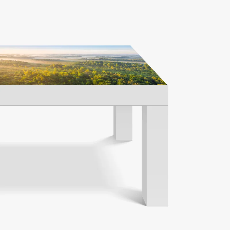 Tischaufkleber und Schreibtischaufkleber nebliger morgen im sumpf von Zvanets