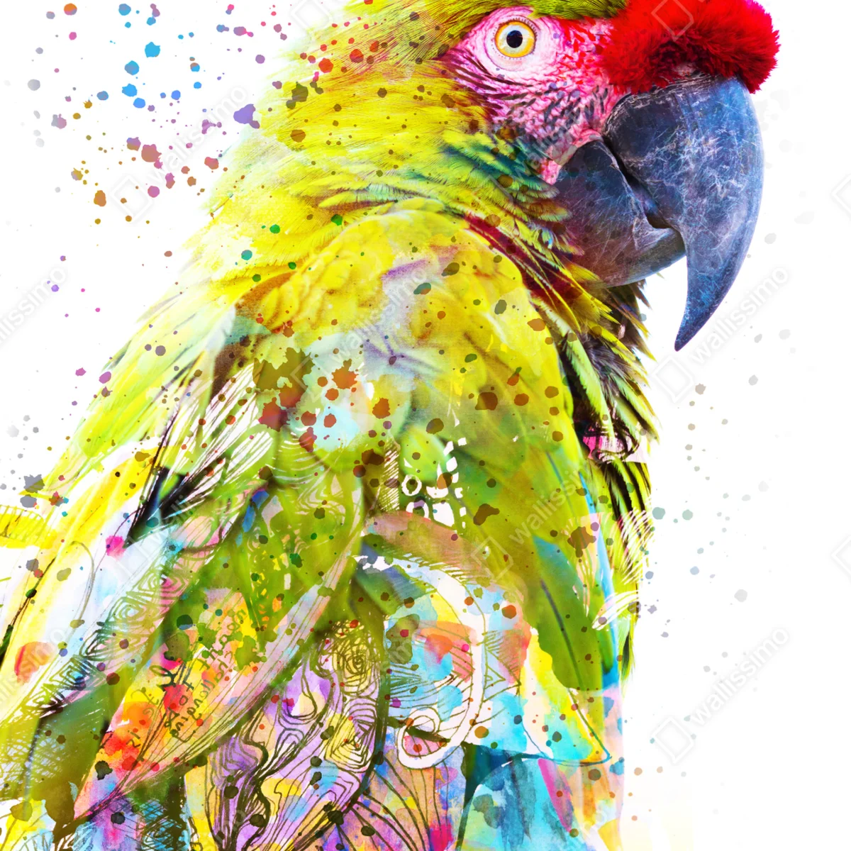 Poster lebhaftes aquarell-porträt eines papageis Poster lebhaftes aquarell-porträt eines papageis