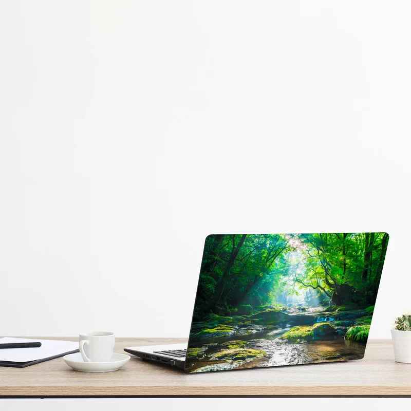 Laptop-Aufkleber sonnendurchfluteter waldbach mit moosbedeckten steinen