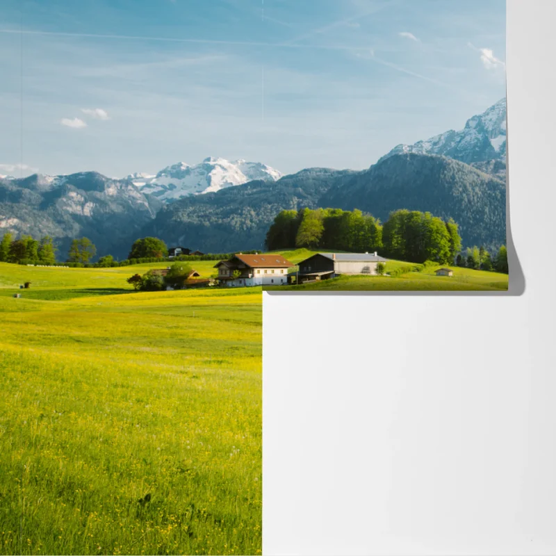 Fototapete alpwiese unter schneebedeckten gipfeln Fototapete alpwiese unter schneebedeckten gipfeln