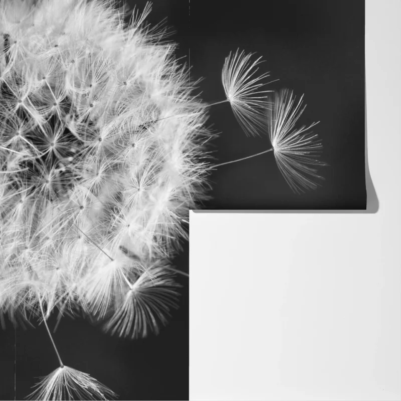 Fototapete schwebende löwenzahnsamen Fototapete schwebende löwenzahnsamen