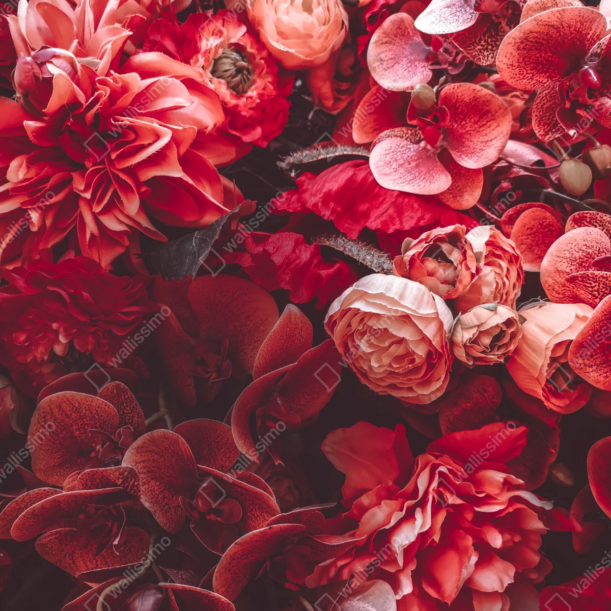 Kühlschrankaufkleber prächtiges blütenmeer in tiefroten tönen Kühlschrankaufkleber prächtiges blütenmeer in tiefroten tönen