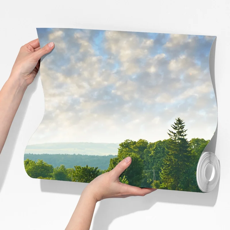 Fototapete sonniger landweg durch grüne wiesen Fototapete sonniger landweg durch grüne wiesen