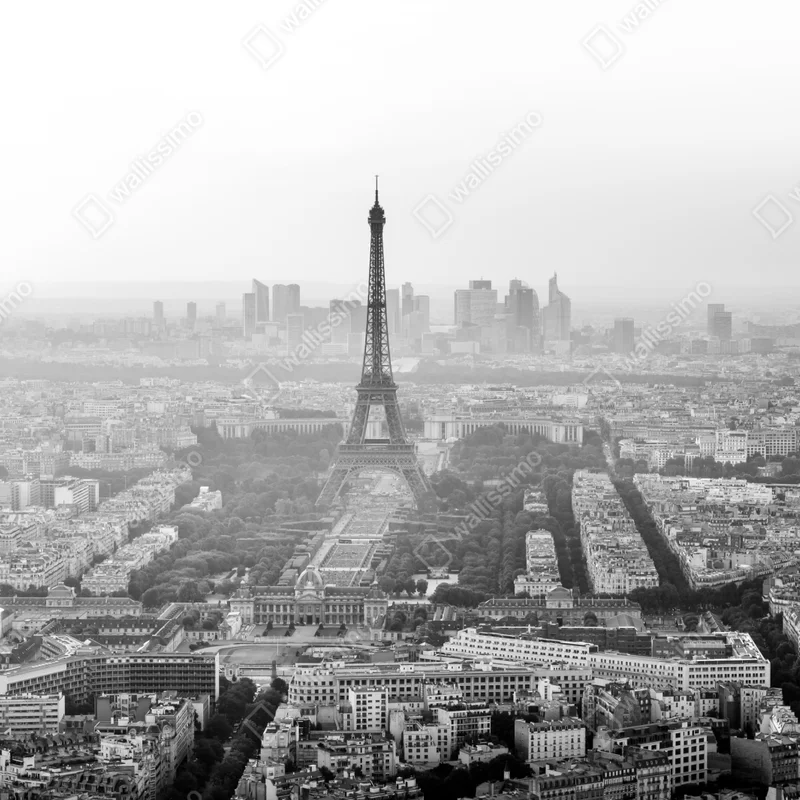 Fototapete elegante Eiffelturm luftaufnahme in graustufen Fototapete elegante Eiffelturm luftaufnahme in graustufen