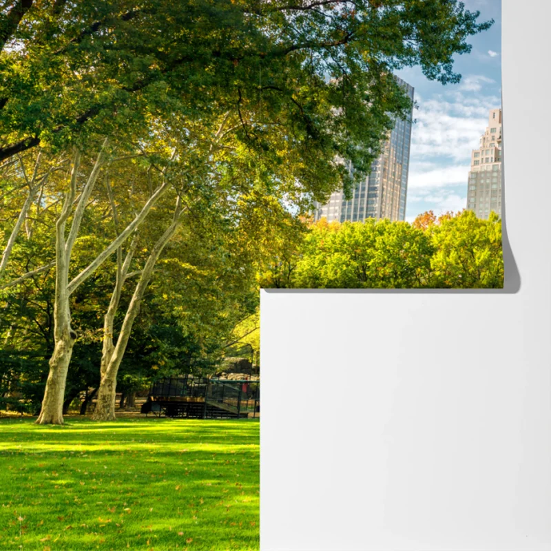 Fototapete Central Park herbst panorama Fototapete Central Park herbst panorama