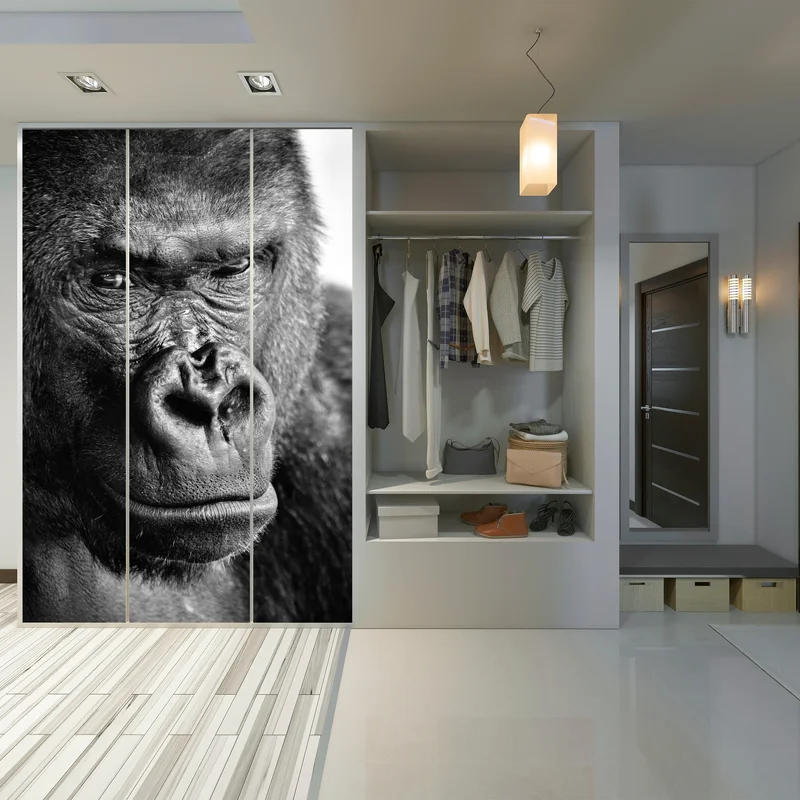 Schrankaufkleber intensives gorilla-porträt in schwarzweiß