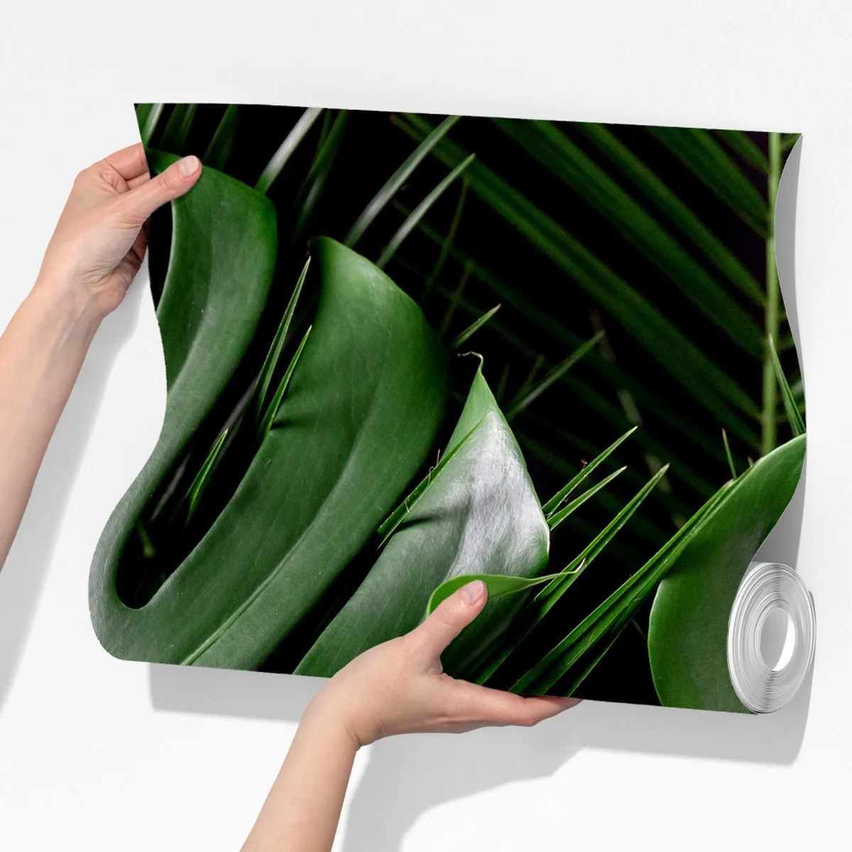Fototapete üppige monstera-blätter Fototapete üppige monstera-blätter
