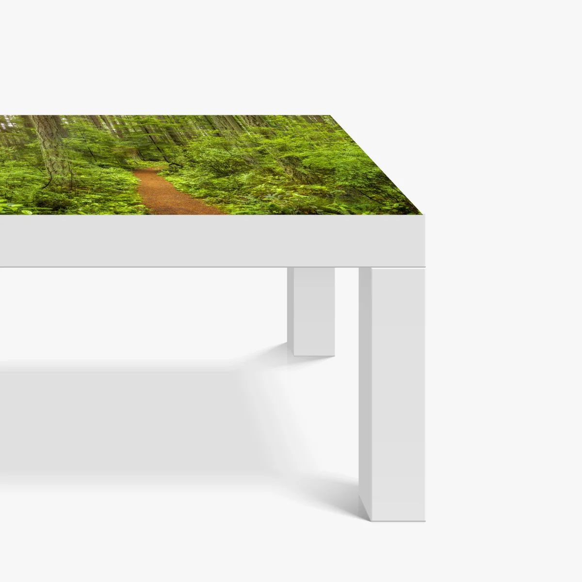 Tischaufkleber und Schreibtischaufkleber friedlicher waldpfad Tischaufkleber und Schreibtischaufkleber friedlicher waldpfad