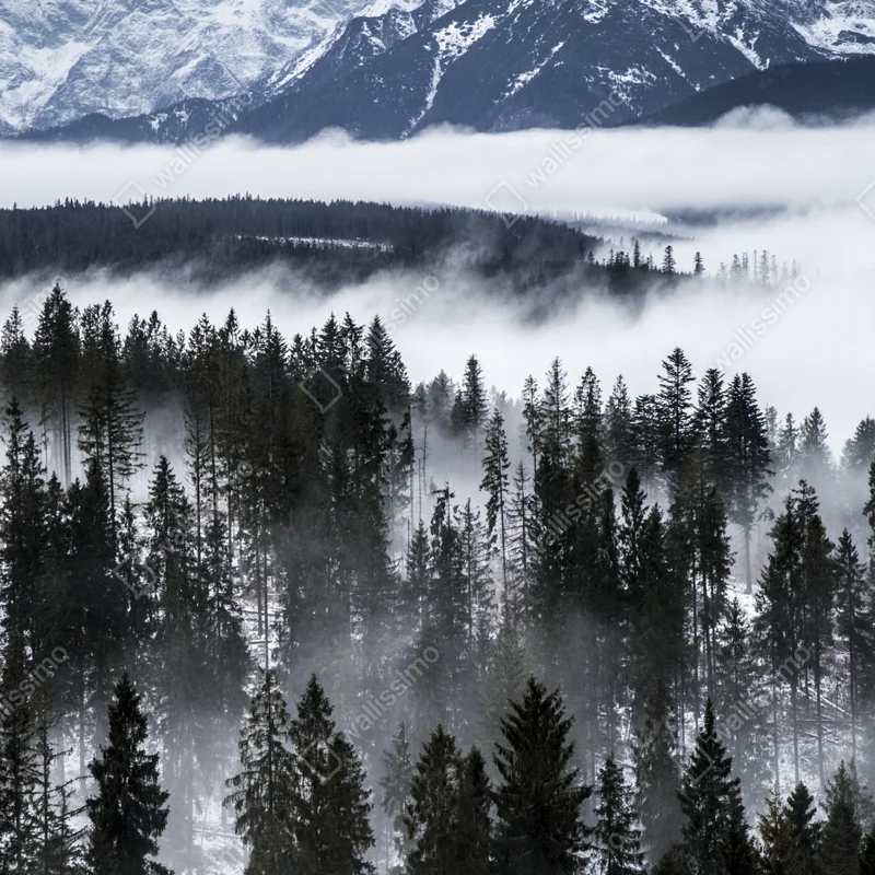 Türaufkleber Tatra im winternebel Türaufkleber Tatra im winternebel