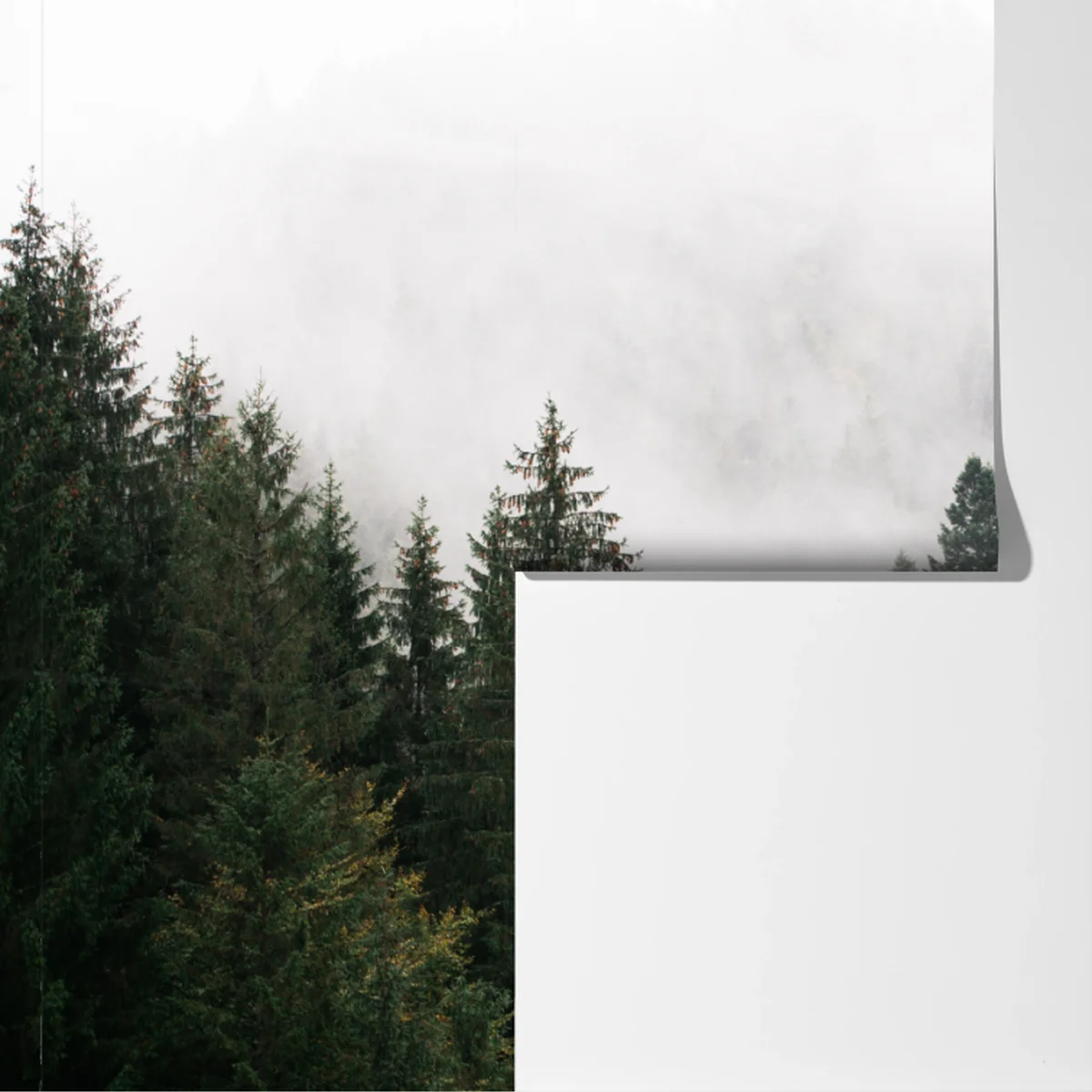 Fototapete nebliger bergwald im dunst Fototapete nebliger bergwald im dunst