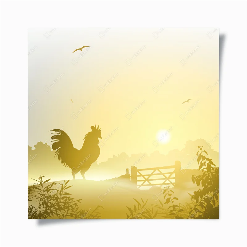 Poster Hahn, Hahn • Poster bei Wallnifity® Poster Hahn, Hahn • Poster bei Wallnifity®