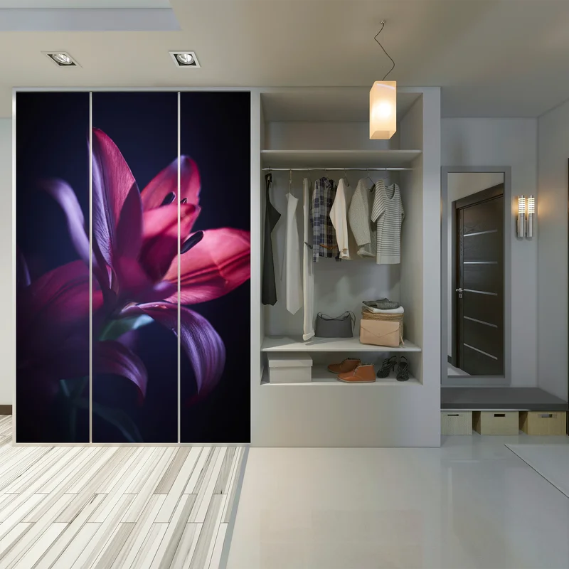 Schrankaufkleber rote lilie im halbdunkel