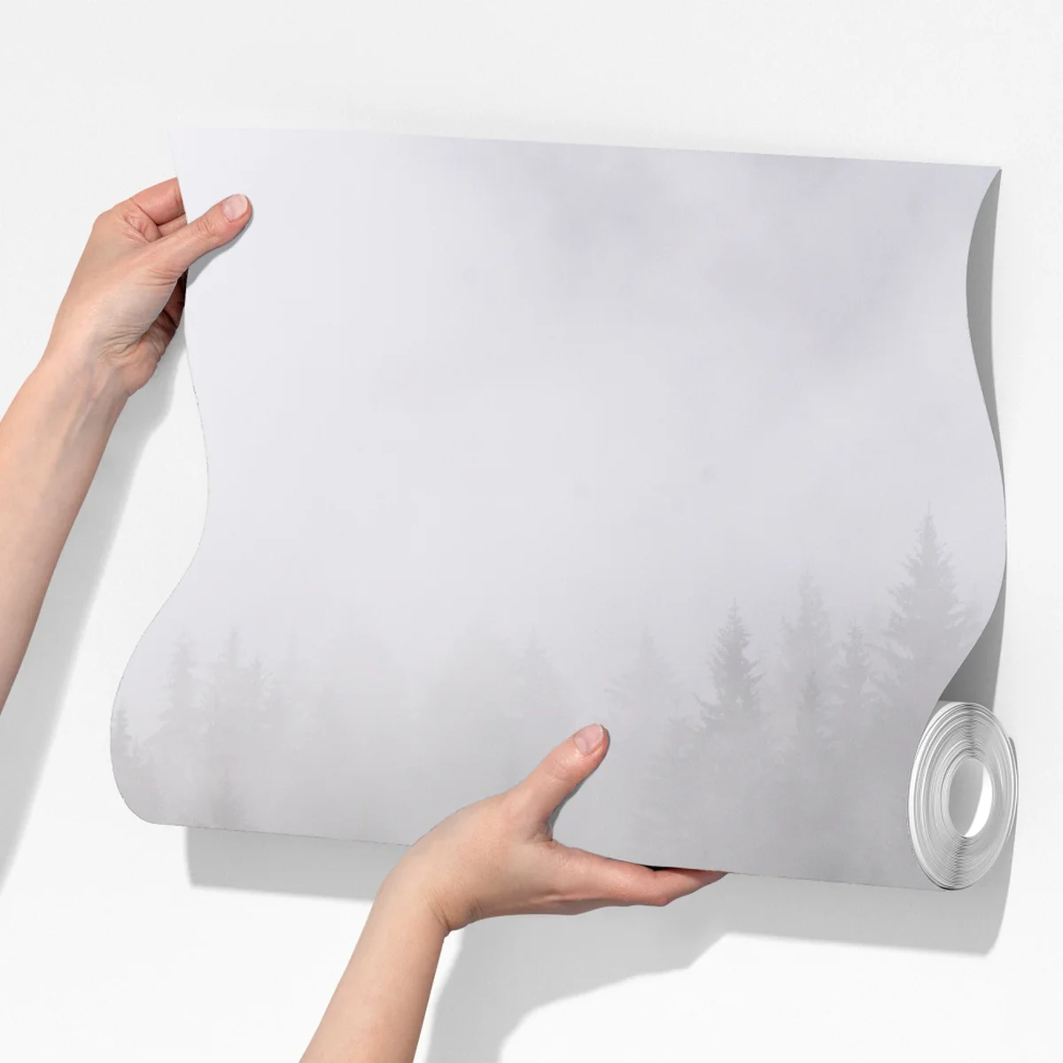 Fototapete nebliger immergrüner wald panorama Fototapete nebliger immergrüner wald panorama