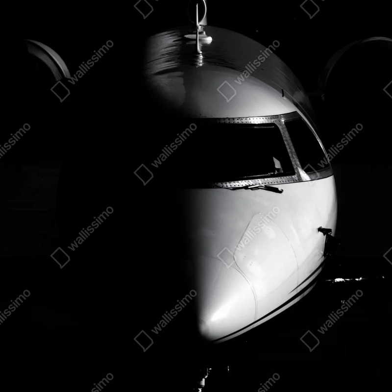 Poster monochromes porträt der flugzeugnase • Poster bei Wallnifity® Poster monochromes porträt der flugzeugnase • Poster bei Wallnifity®