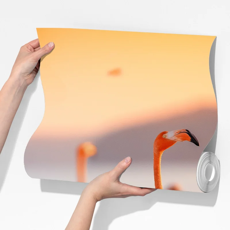 Fototapeta różowe flamingi o zachodzie słońca Fototapeta różowe flamingi o zachodzie słońca