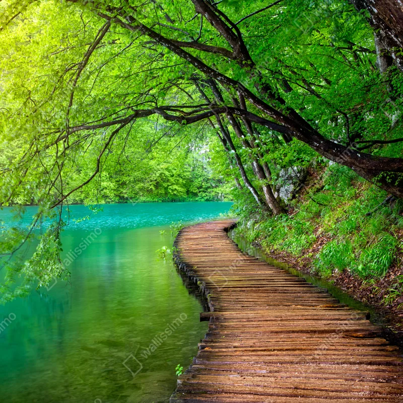 Fototapete ruhiger holzsteg am see im grünen wald Fototapete ruhiger holzsteg am see im grünen wald
