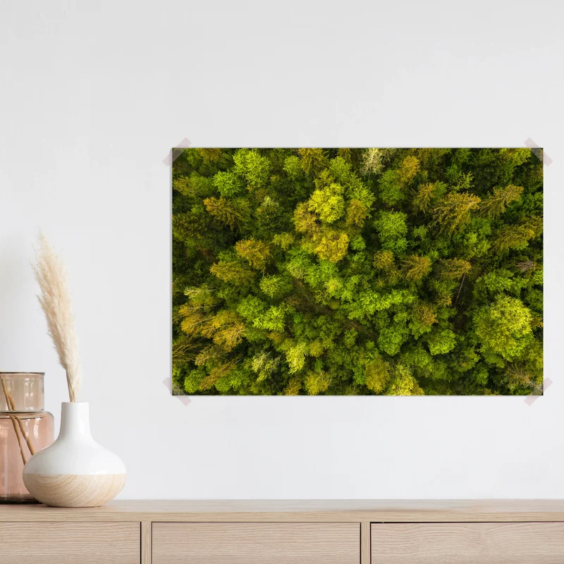 Poster Luftaufnahme von dunklen Mischkiefern und üppigem Wald mit grünen Baumkronen. • Poster bei Wallnifity® Poster Luftaufnahme von dunklen Mischkiefern und üppigem Wald mit grünen Baumkronen. • Poster bei Wallnifity®