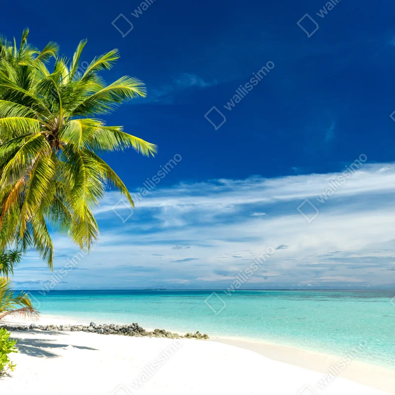 Fototapeta tropikalna turkusowa plaża Fototapeta tropikalna turkusowa plaża
