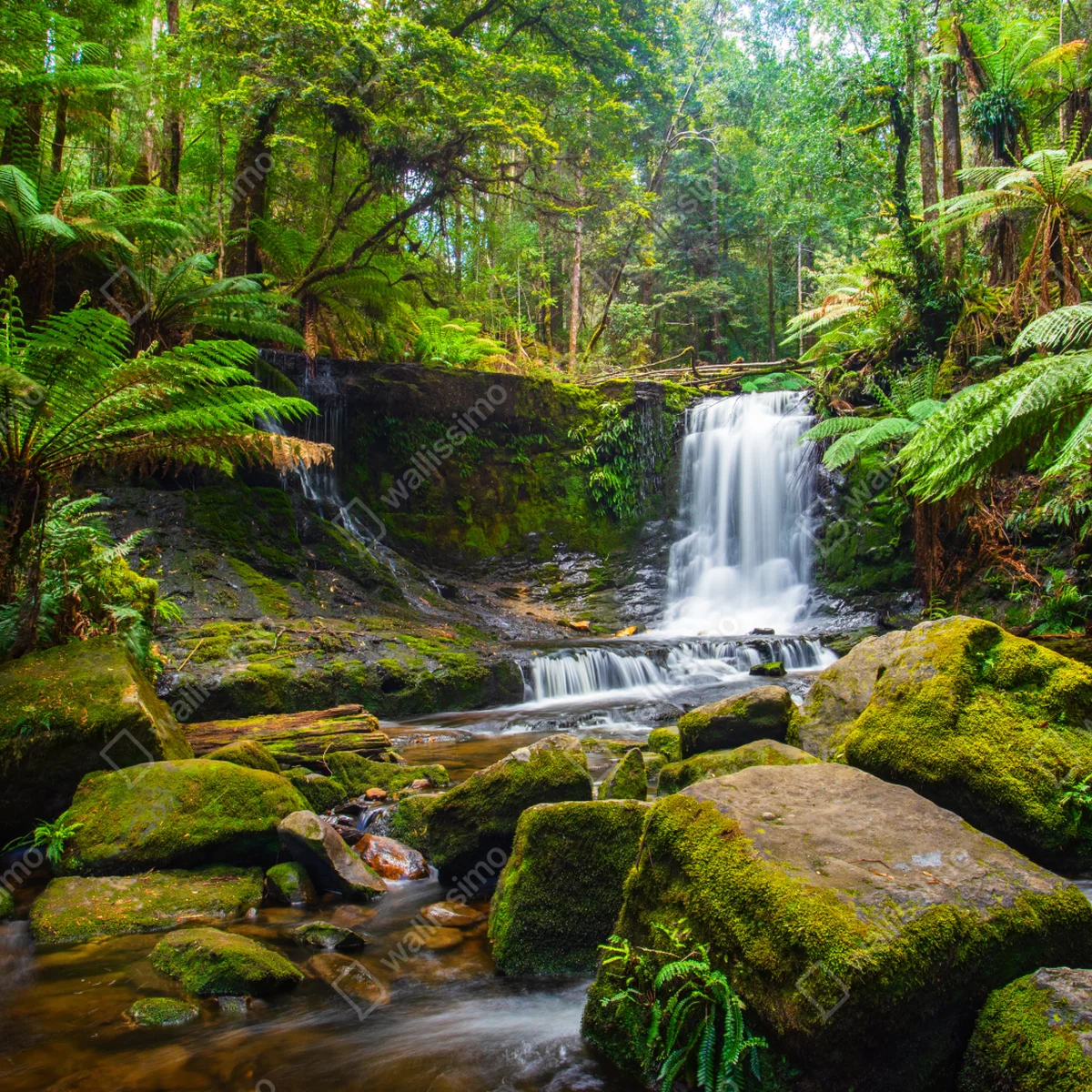 Repositionierbarer Aufkleber üppiger waldwasserfall Repositionierbarer Aufkleber üppiger waldwasserfall