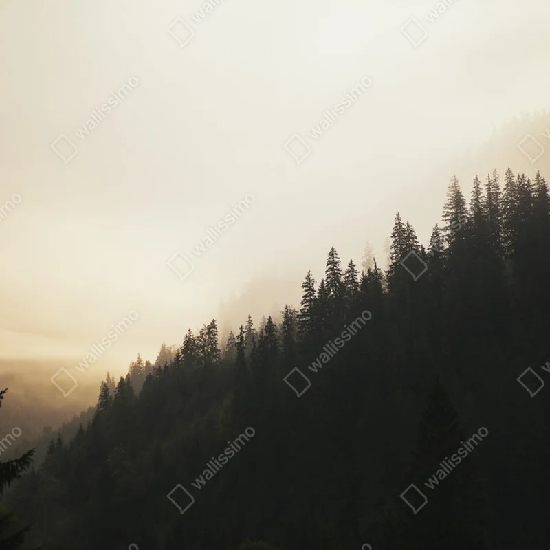 Poster neblige Bergkälte • Poster bei Wallnifity® Poster neblige Bergkälte • Poster bei Wallnifity®