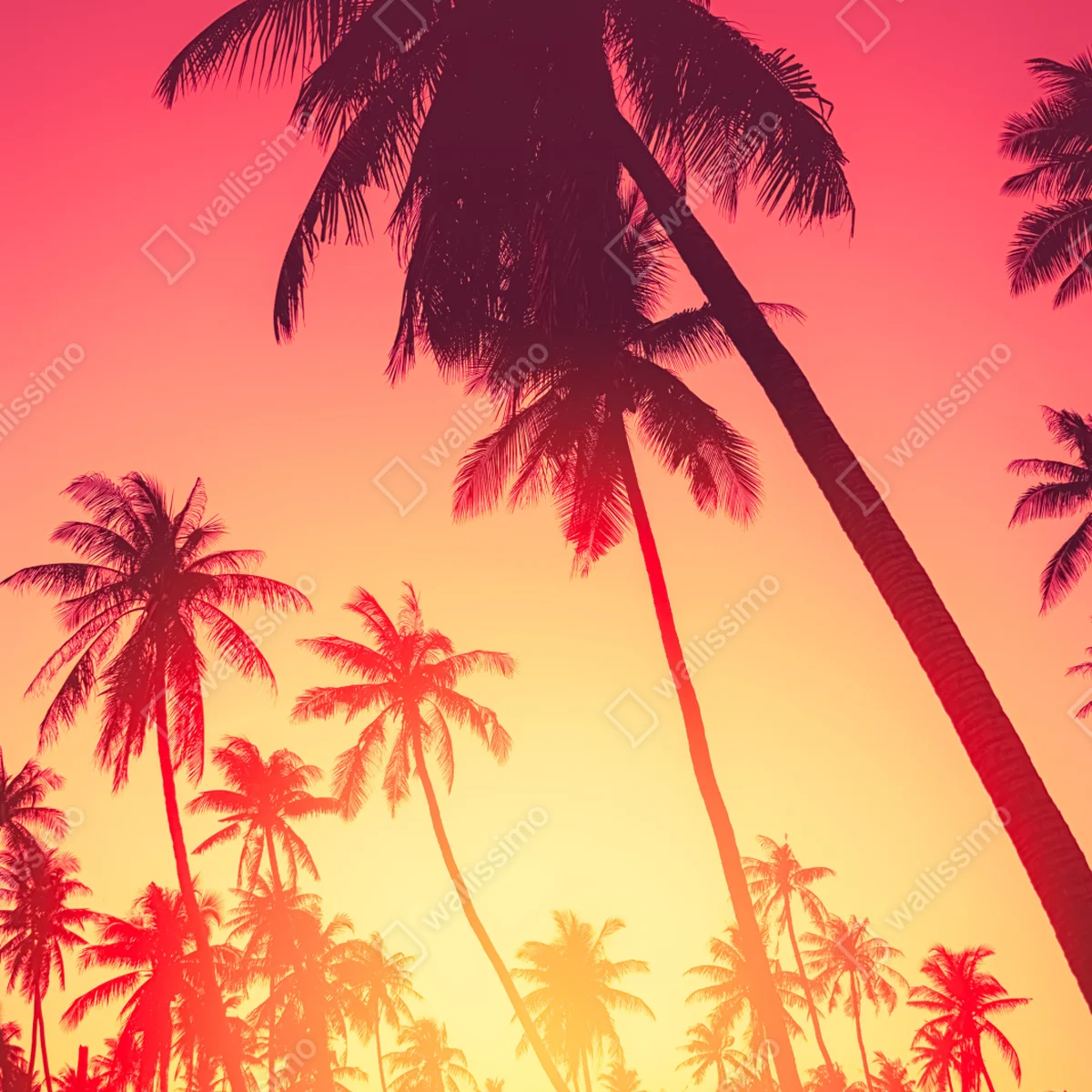 Fensteraufkleber tropischer sonnenuntergang mit palmen Fensteraufkleber tropischer sonnenuntergang mit palmen