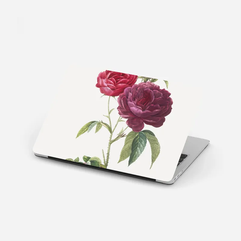 Laptop-Aufkleber botanische illustration purpurrose