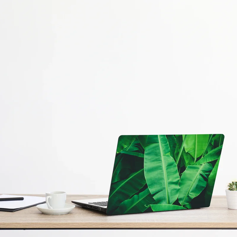 Naklejka na laptopa tropikalne liście bananowca