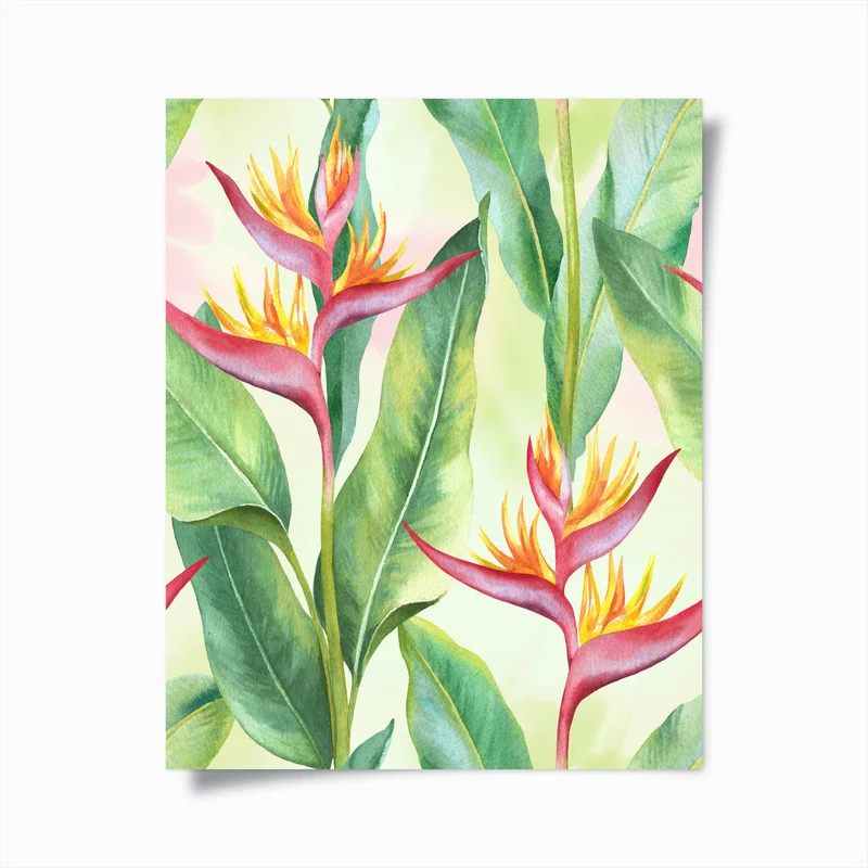 Poster aquarell heliconia botanischer druck • Poster bei Wallnifity® Poster aquarell heliconia botanischer druck • Poster bei Wallnifity®