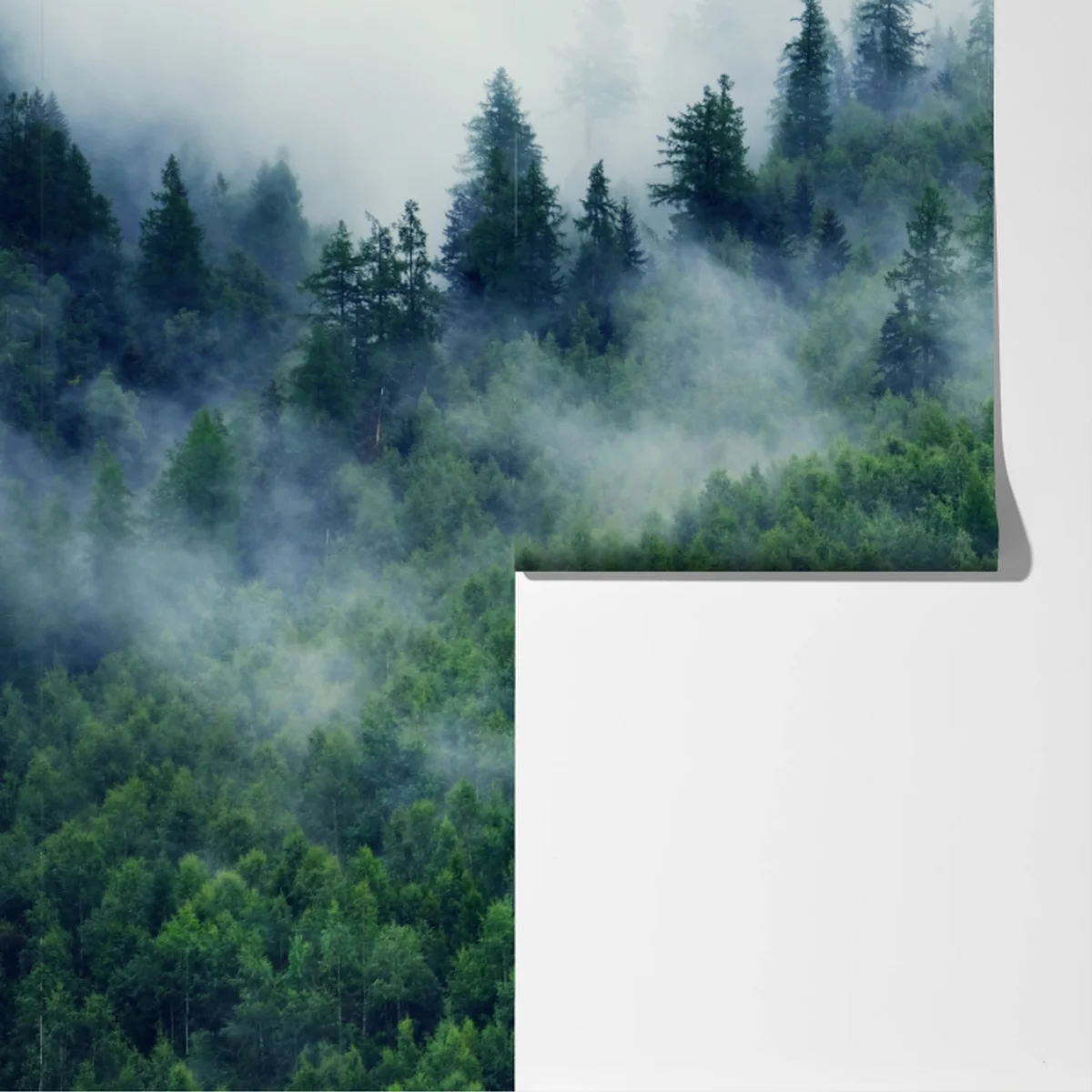 Fototapete nebliger grüner wald Fototapete nebliger grüner wald