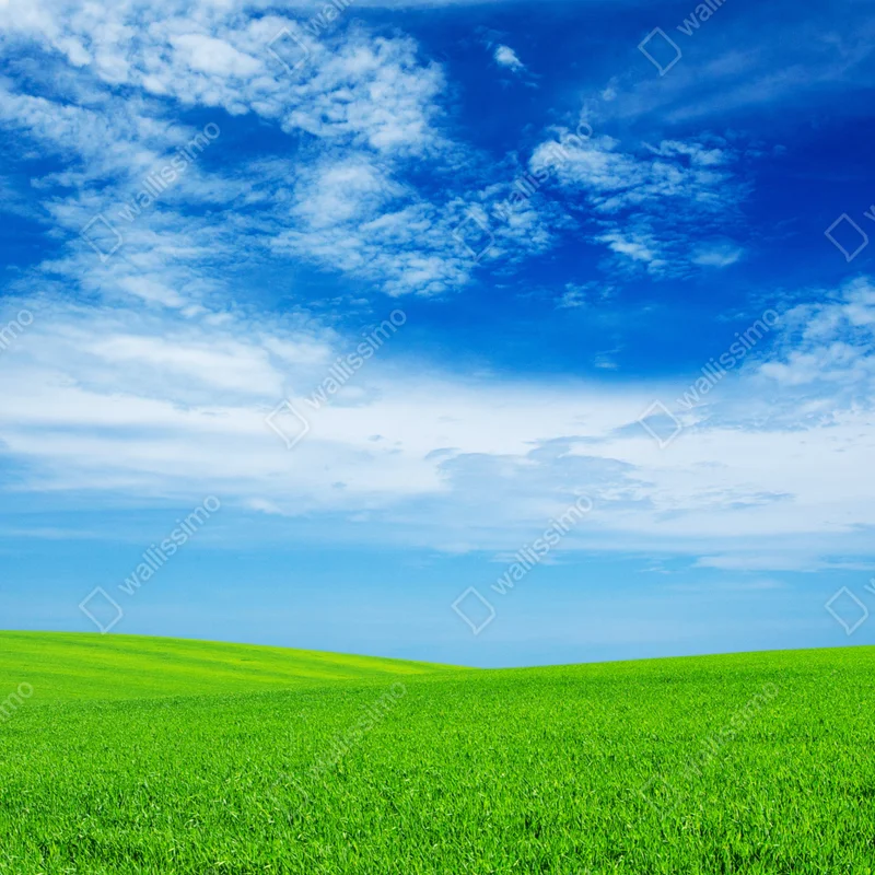 Poster grüne wiese unter blauem himmel Poster grüne wiese unter blauem himmel