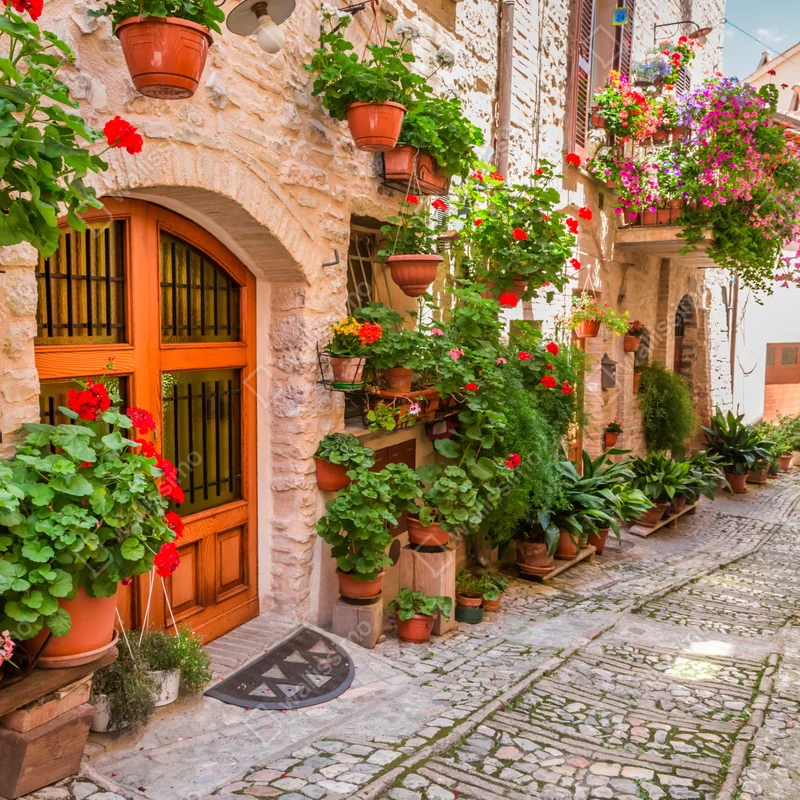 Fototapete sonnige gasse in Italien mit blühenden töpfen Fototapete sonnige gasse in Italien mit blühenden töpfen