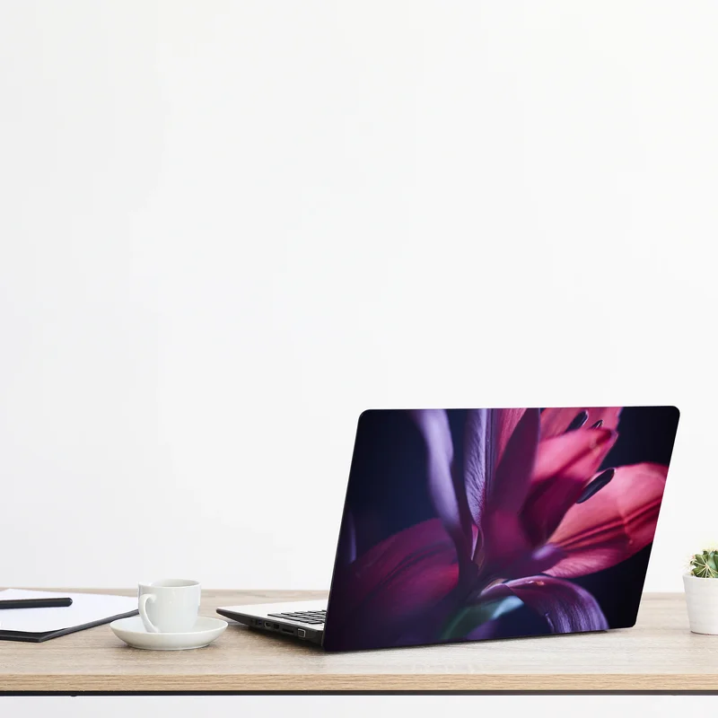 Naklejka na laptopa czerwona lilia w półmroku