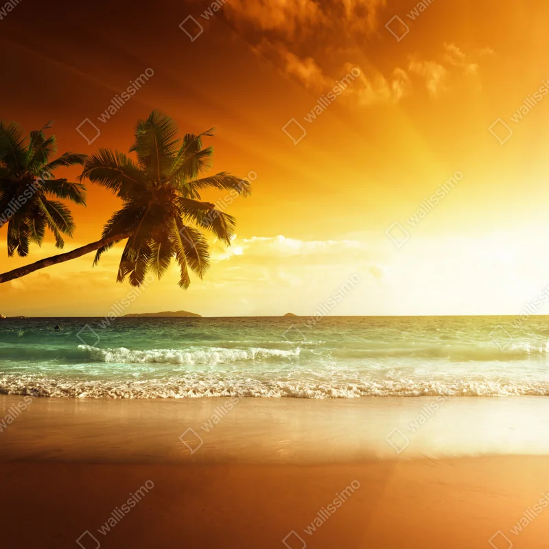 Tischaufkleber und Schreibtischaufkleber tropischer sonnenuntergang am strand Tischaufkleber und Schreibtischaufkleber tropischer sonnenuntergang am strand