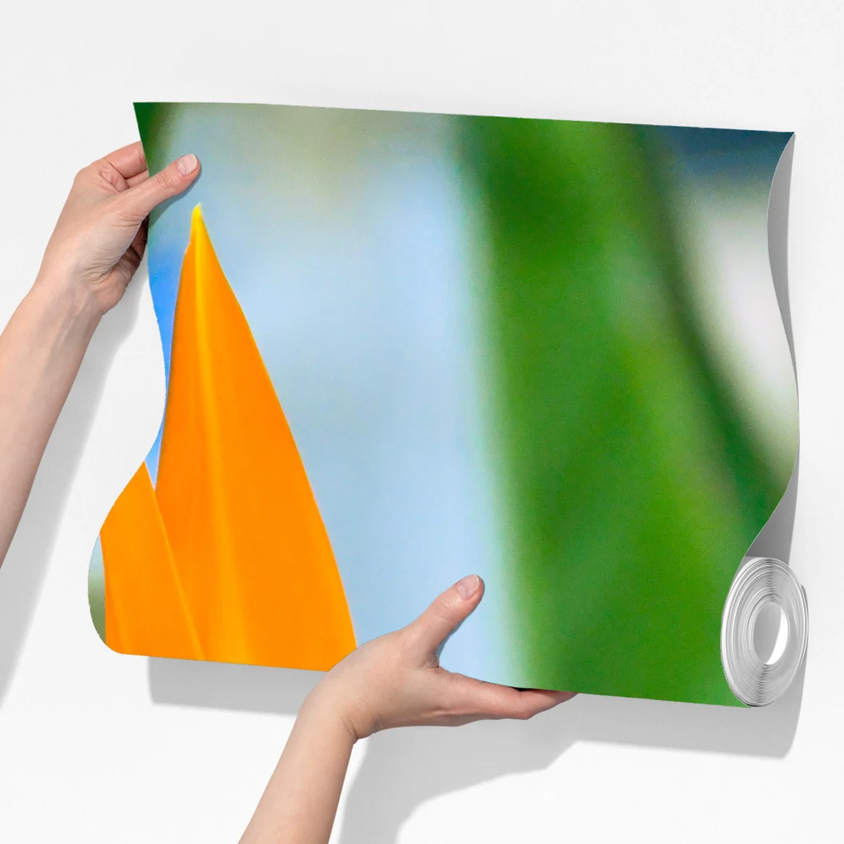 Fototapeta żywy kwiat ptaka rajskiego Fototapeta żywy kwiat ptaka rajskiego