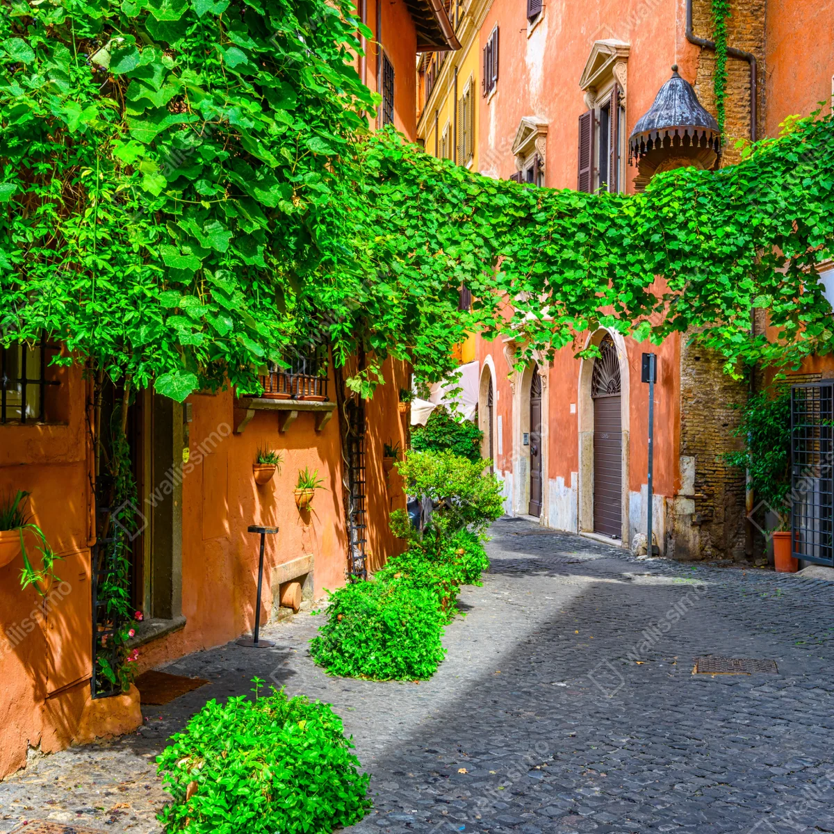 Leinwandbild malerische gasse in Trastevere, Rom Leinwandbild malerische gasse in Trastevere, Rom