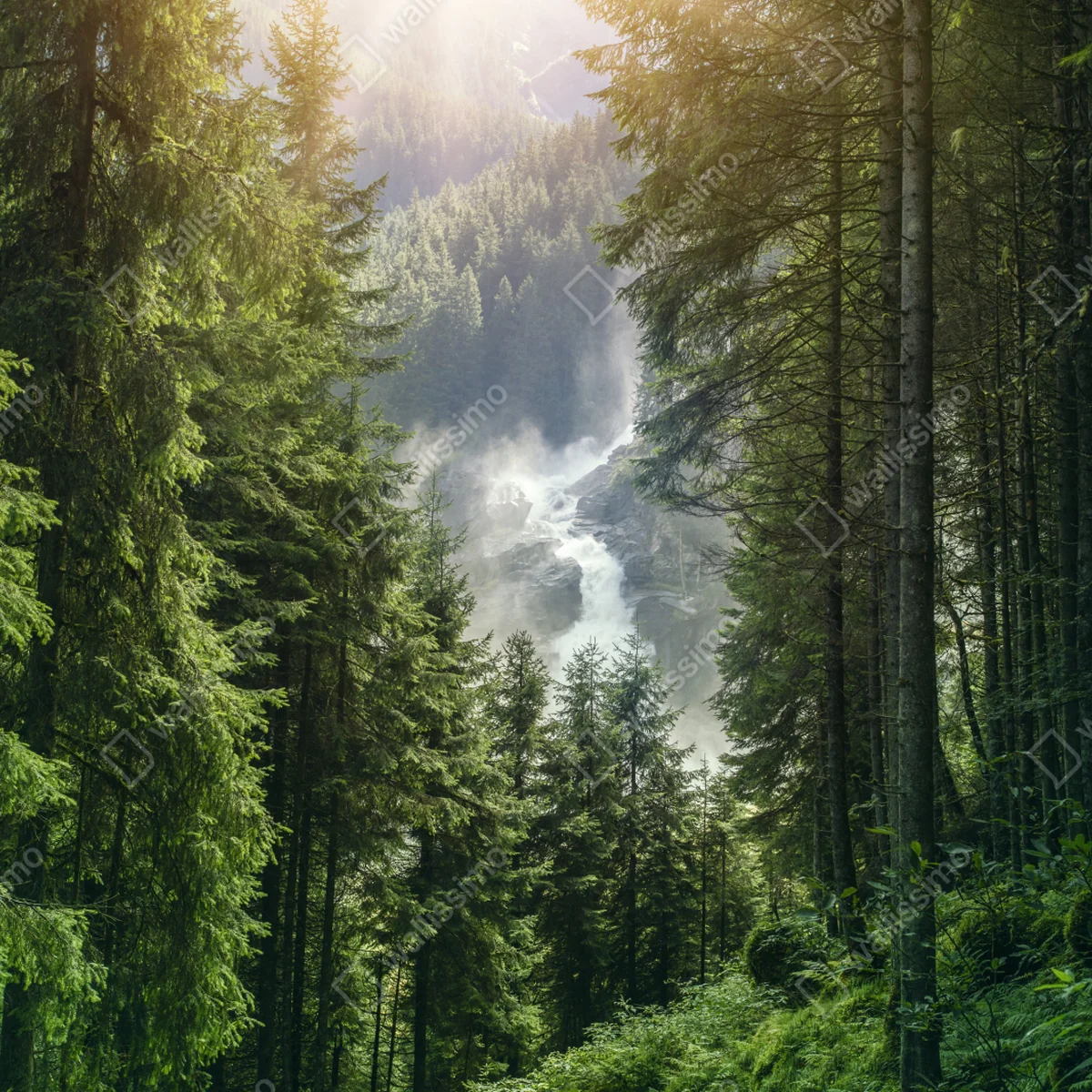 Leinwandbild Krimml wasserfall im üppigen alpinen wald Leinwandbild Krimml wasserfall im üppigen alpinen wald