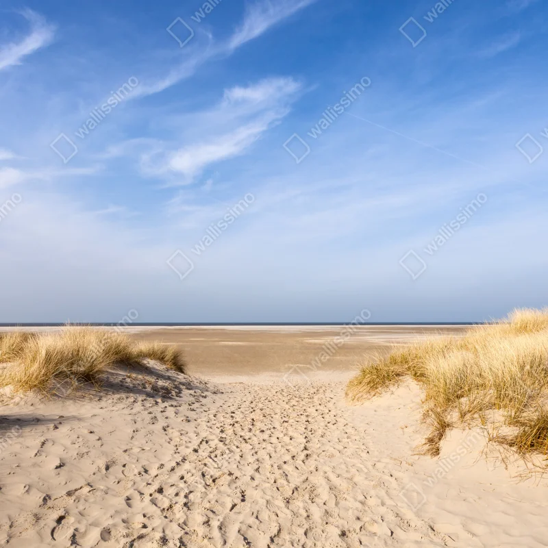 Fototapete ruhige dünen an der deutschen küste Fototapete ruhige dünen an der deutschen küste
