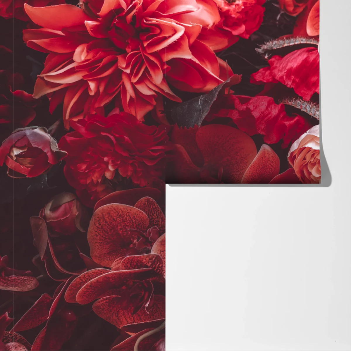 Fototapete prächtiges blütenmeer in tiefroten tönen Fototapete prächtiges blütenmeer in tiefroten tönen