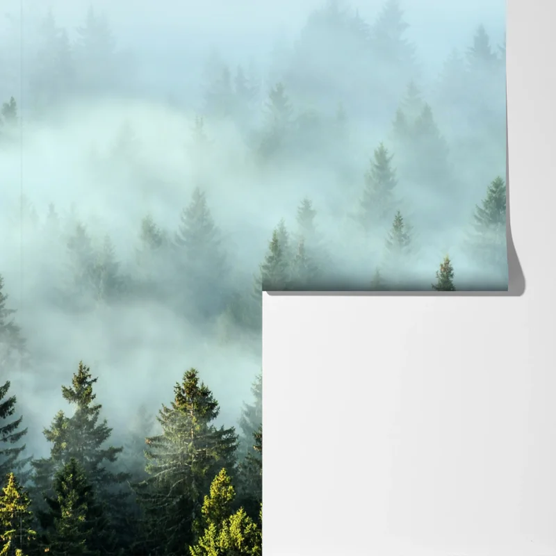 Fototapete nebliger fichtenwald am morgen Fototapete nebliger fichtenwald am morgen