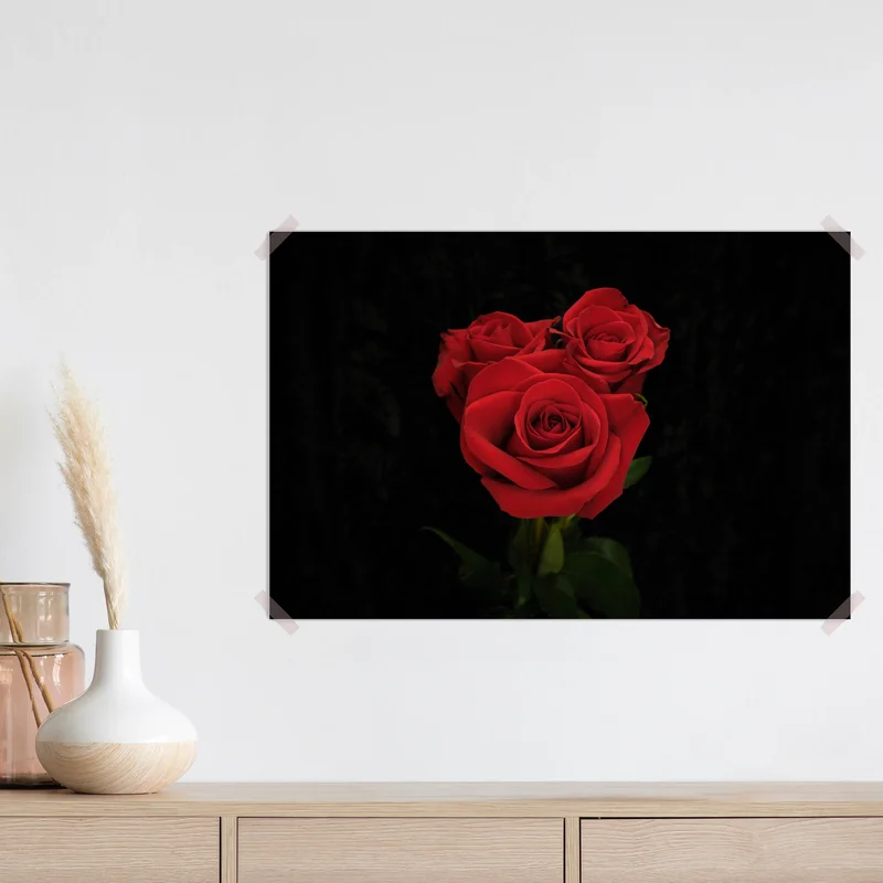 Poster rote rosen vor schwarzem hintergrund Poster rote rosen vor schwarzem hintergrund