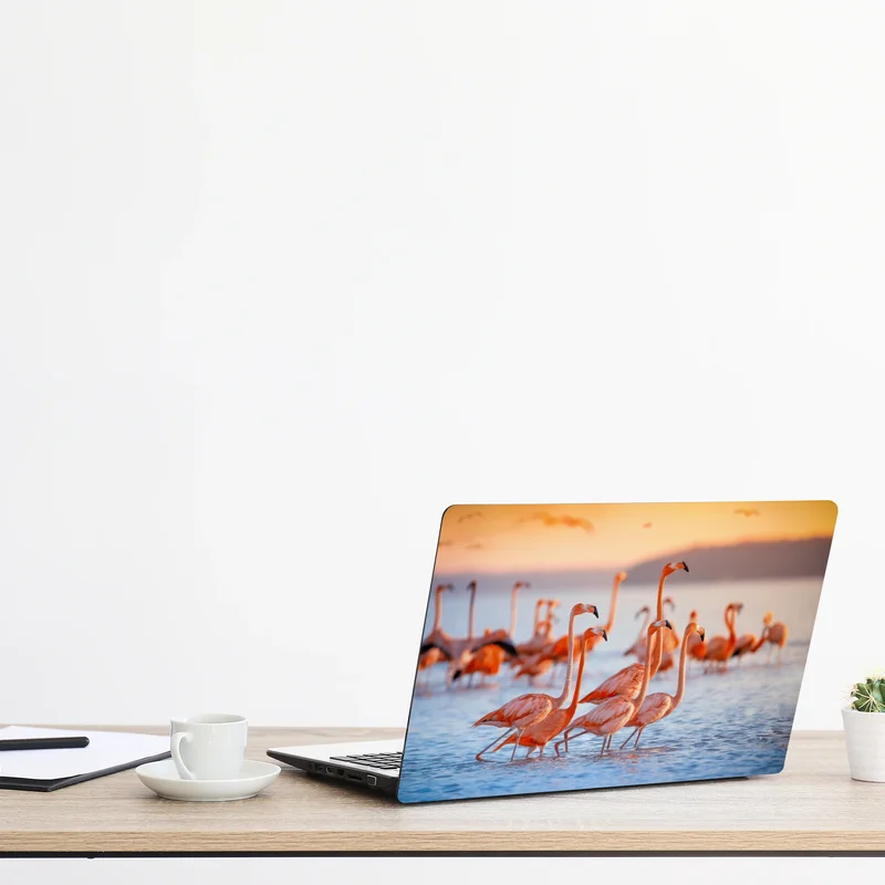 Laptop-Aufkleber rosa flamingos bei sonnenuntergang