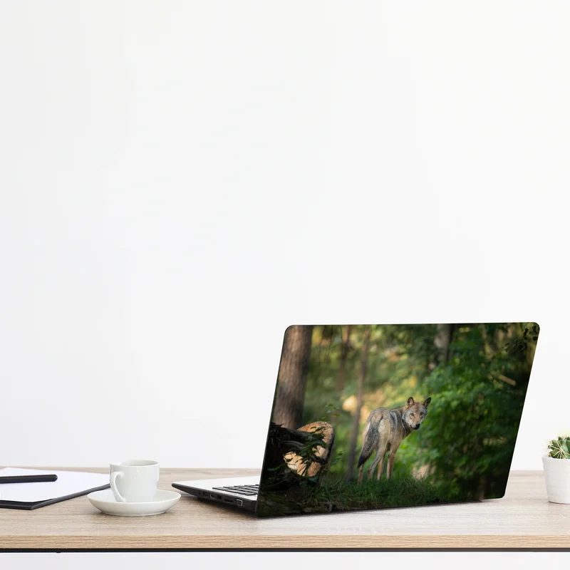 Naklejka na laptopa wilk w leśnej polanie