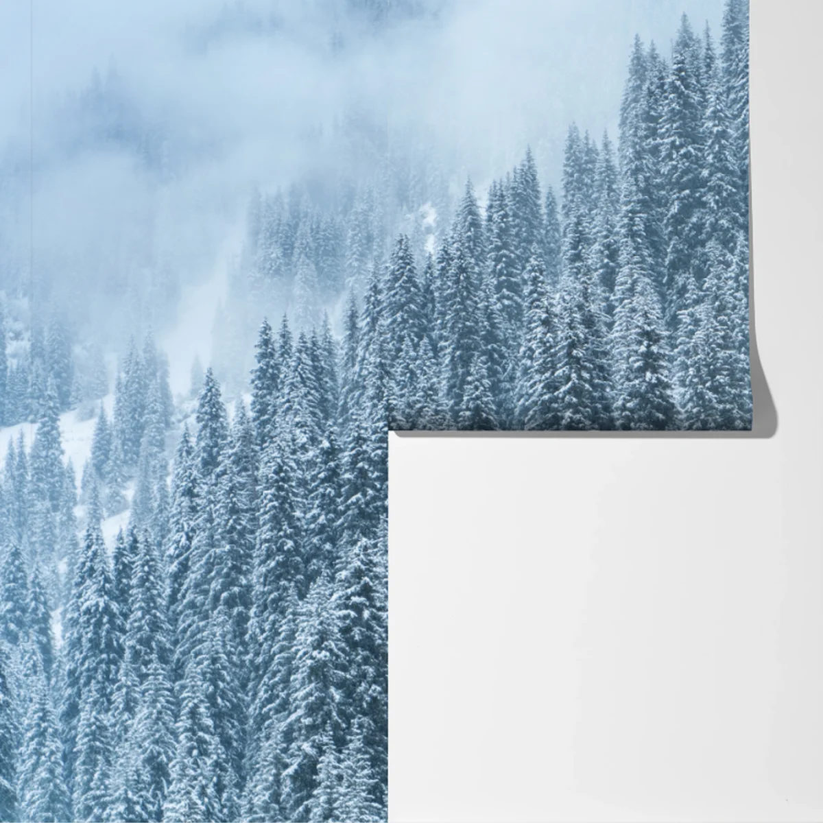 Fototapete nebeliger schneebedeckter kiefernwald Fototapete nebeliger schneebedeckter kiefernwald