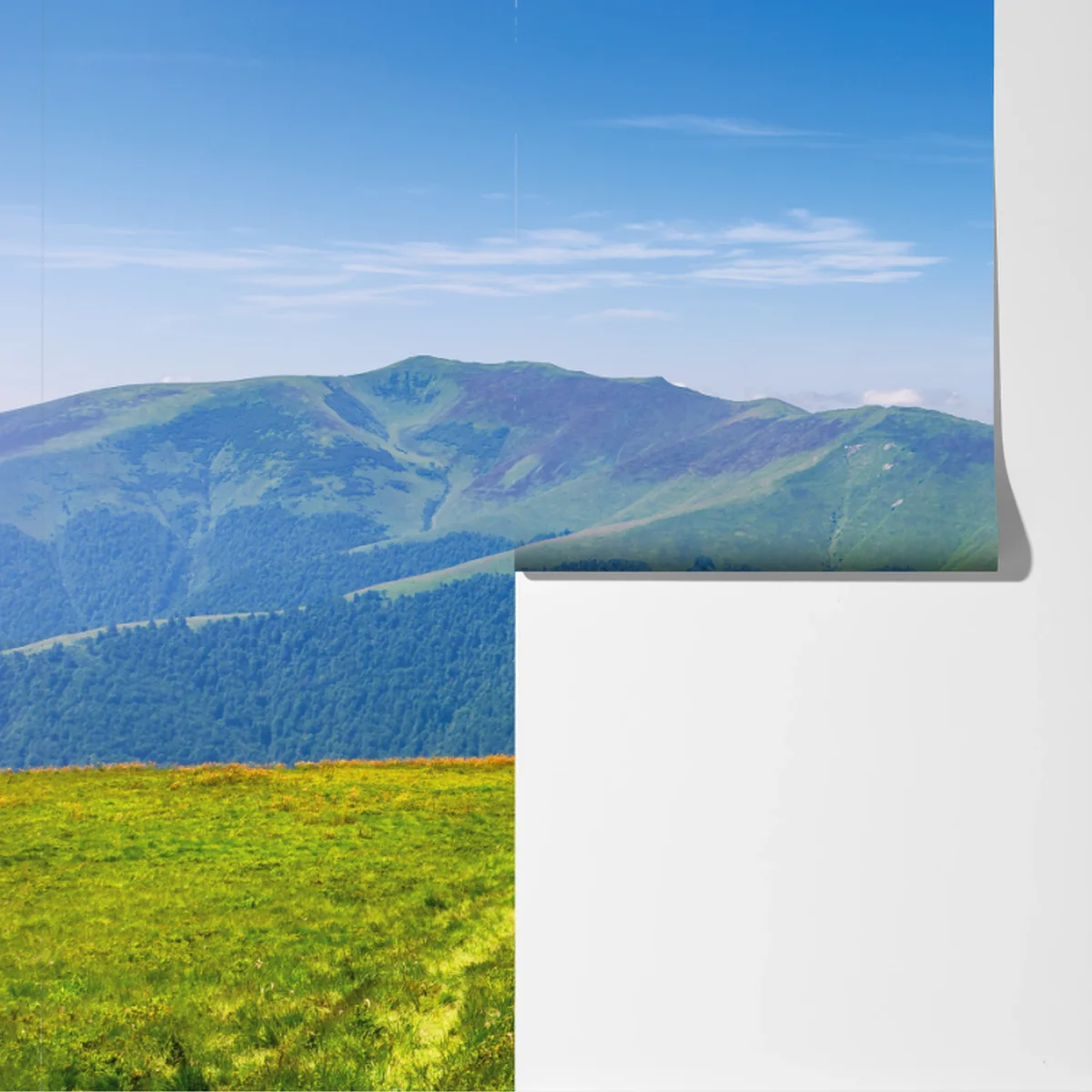 Fototapeta słoneczna łąka Borżawa, Zakarpacie, Ukraina Fototapeta słoneczna łąka Borżawa, Zakarpacie, Ukraina