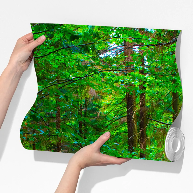 Fototapete ruhiger waldsteg im grünen Fototapete ruhiger waldsteg im grünen