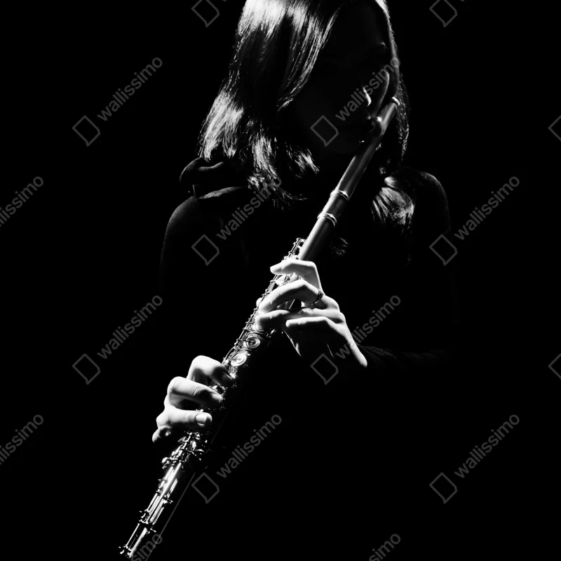 Kühlschrankaufkleber elegante flötensilhouette Kühlschrankaufkleber elegante flötensilhouette